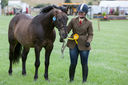 140816049.jpg