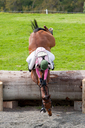 Filename=150515029.jpg
Filesize=507KiB
Dimensions=576x864
Date added=May 19, 2015 150515029.jpg