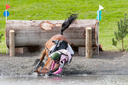 Filename=150515034.jpg
Filesize=509KiB
Dimensions=797x531
Date added=May 19, 2015 150515034.jpg